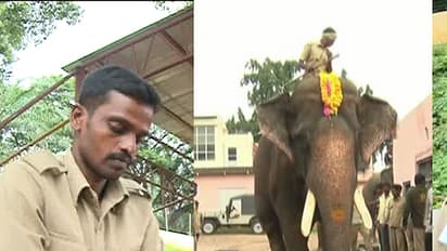 ಜಂಬುಸವಾರಿ ಸಾರಥಿ ವಿಚಾರದಲ್ಲೂ ಪಾಲಿಟಿಕ್ಸ್: ಮಾವುತರ ಮೇಲಾಟದಲ್ಲಿ ಒಬ್ಬಂಟಿಯಾದ ಅರ್ಜುನ