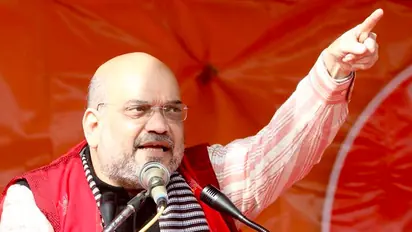 Amit Shah mocks Manmohan Singh; calls infiltrators termites who need to be removed