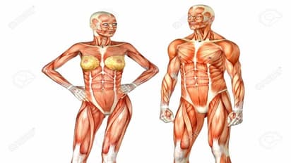 மனித உடலில் உள்ள எலும்புகளை எளிதில் விளக்கும் படம்..!