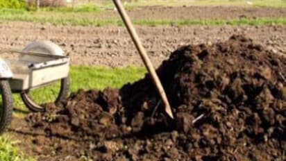 மூன்றாண்டுகளுக்குத் தேவையான இயற்கை உரம் வேண்டுமா? அப்படின்னா உரக்குழி அமைக்க வேண்டும்...