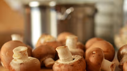 Magic Mushroom ecstasy reaches a high in Munnar