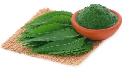 neem leaves