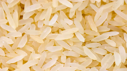 ಅನ್ನಭಾಗ್ಯದಲ್ಲೂ ಪ್ಲಾಸ್ಟಿಕ್ ಅಕ್ಕಿ?