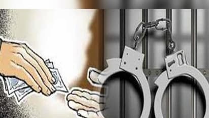 കൈക്കൂലി വാങ്ങുന്നതിനിടെ നഗരസഭാ ഉദ്യോഗസ്ഥ പിടിയിൽ; അറസ്റ്റ് പ്രവാസിയുടെ പരാതിയിൽ