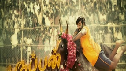 விஜய் சேதுபதியின் கருப்பன் பக்கா 'மாஸ்' கொண்டாடும் ரசிகர்கள்!!