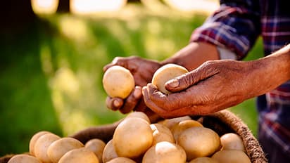 ஒரு மாதம் உருளைக்கிழங்கு சாப்பிடாம இருந்தால் ஆரோக்கியம் எப்படி இருக்கும் தெரியுமா?