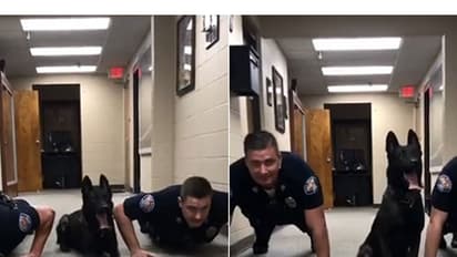 ഈ പൊലീസ് നായ ആള് ചില്ലറക്കാരനല്ല! പുഷ് അപ്പ് വീഡിയോ വൈറല്