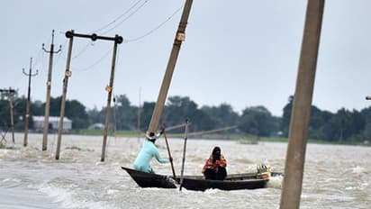 മഴവെള്ളത്തില് ഒഴുകിയെത്തിയ അതിഥിയെ കാണാം...