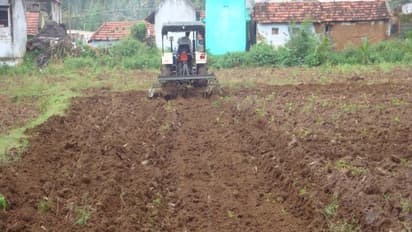 மண்புழு உரம் தயாரிக்க ஐந்து நிலைகள் இருக்கின்றன. தெரிஞ்சுக்குங்க உதவும்...