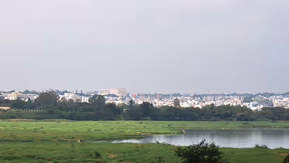 Bengaluru's prized Rampur Lake now starts foaming