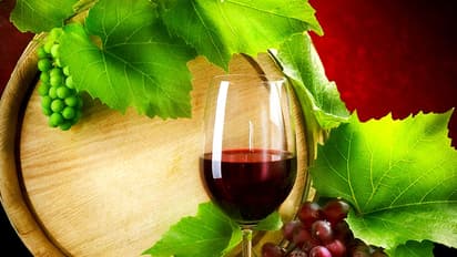 ಯೂಟ್ಯೂಬ್ ನೋಡಿ ವೈನ್ ಮಾಡಿದ ಬಾಲಕ: ಕುಡಿದು ಆಸ್ಪತ್ರೆ ಸೇರಿದ ಜೀವದ ಗೆಳೆಯ