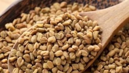 உங்களுக்குத் தெரியுமா? கொலஸ்ட்ராலை குறைப்பதில் முக்கியப் பங்கு வகிப்பது வெந்தயம்...