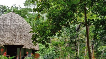 ಕೊಪ್ಪಳ: ಗಂಟುಮೂಟೆ ಕಟ್ಟಿ ಹೊರಟ ವಿರೂಪಾಪುರಗಡ್ಡೆ ರೆಸಾರ್ಟ್ ಮಾಲೀಕರು