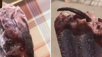 ഐസ്ക്രീമില് എലിവാല്; യുവതി ചെയ്തത്