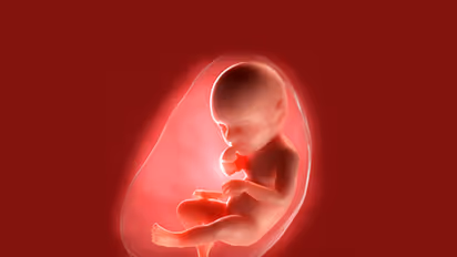 పశ్చిమబెంగాల్ లో దారుణం.. చెత్తకుండీలో పదిహేడు పిండాలు..!