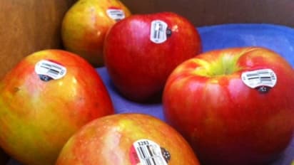 உங்களுக்குத் தெரியுமா? பழங்களில் ஒட்டியிருக்கும் ஸ்டிக்கர் சொல்லும் அது நல்ல பழமா? இல்லையா? என்று...