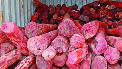 73 మంది స్మగ్లర్లు అరెస్ట్.. రూ.50 కోట్ల విలువైన ఎర్రచందనం స్వాధీనం