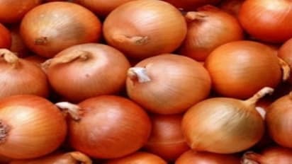சின்ன வெங்காயம் சாகுபடியில் அதிக விளைச்சல் பெற இந்த ஆலோசனைகளை முயற்சி செய்யுங்கள்…
