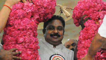 TTV Dhinakaran displays show of strength at party launch in Madurai