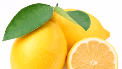 ಫುಡ್ ಹಿಸ್ಟರಿ: ಲೆಮನೇಡ್ ಎಂಬ ಚೇತೋಹಾರಿ ಪಾನೀಯ