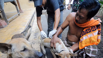 Kerala erupts in protests, slay dogs after killing