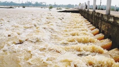 பாழா போகுது பாலாற்று நீர்.....தடுக்க தடுப்பணை இல்ல...ஆனால் "பெட்டர்மாஸ் லைட்டே தான் வேணும்னா" எப்படி?