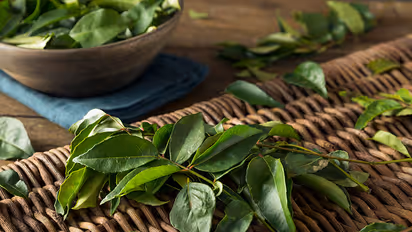 Find out why you should eat curry leaves on an empty stomach
