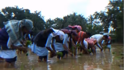 Learn farming or fail: Kerala Agri. Minister warns school students