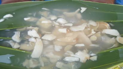 இந்த ஒரே ஒரு பானம் "ஒரே நாளில்" இத்தனை நோய்களை விரட்டுதாம்...!