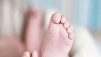 குரங்கினால் தூக்கிச் செல்லப்பட்ட குழந்தை சடலமாக மீட்பு...! கிராம மக்கள் சோகம்!