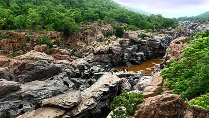 Cauvery row: Karnataka to closely watch details submitted by TN