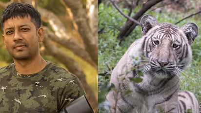 This rare sighting of a pale tiger in Nilgiris by Bengaluru-based wildlife photographer is turning heads on social media