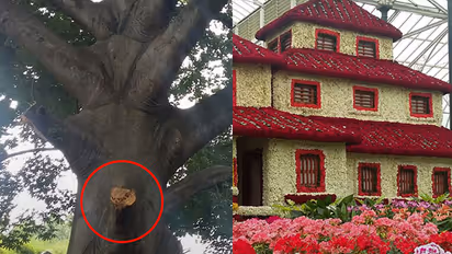 Lal Bagh flower show: Security gets serious as Govt builds self-image