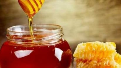 இந்த உணவுகளை நீங்கள் சாப்பிட்டால் மட்டும் போதும் செம்ம ஃபிட்டாக இருக்கலாம்...