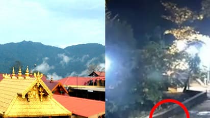 (video) శబరిమలలో అద్భుతం... అయప్ప వాహనం ప్రత్యక్షం