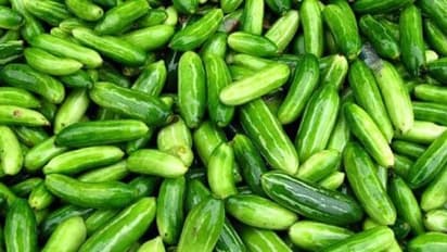 இரத்தத்தை தூய்மையாக்கும் பணியை கோவைக்காய் சிறப்பாக செய்யும்…