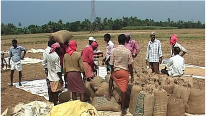  നെൽ കർഷകർക്ക് ആശ്വാസം, ഏപ്രിൽ മുതൽ സംഭരിച്ച നെല്ലിന്റെ പണം സപ്ലൈക്കോ നൽകും; നാല് ദിവസത്തിൽ പണം കർഷകരിലേക്ക്
