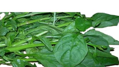 உங்களுக்குத் தெரியுமா? பசலைக் கீரையும் முட்டையும் சாப்பிட்டால் கண் பார்வை குறையவே குறையாது…