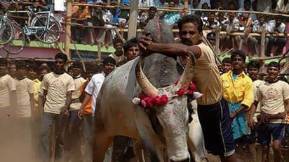 ಯಪ್ಪಾ ಹೋರಿ ತೂಫಾನ್ ಹೋದಂಗ ಹೋತಲೇ.. ಇದು ಹಾವೇರಿಯ ಮೈ ನವಿರೇಳಿಸೋ ಹೋರಿ ಹಬ್ಬ!