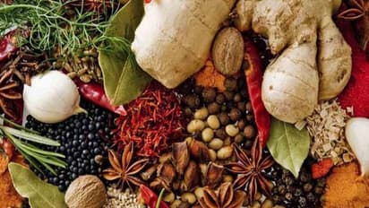 இரத்த நாள அடைப்பை குணப்படுத்த வேண்டுமா? இதோ எளிய வீட்டு மருந்துகள்…