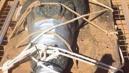 എട്ടു വർഷത്തെ തെരച്ചിലിനൊടുവിൽ അവനെ കിട്ടി.!