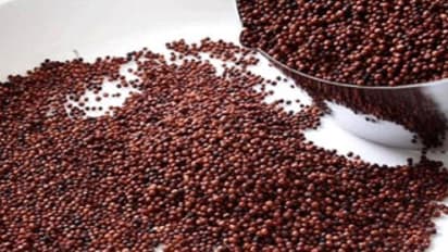 பாலை விட கேழ்வரகு தான் சிறந்தது; ஏன்?