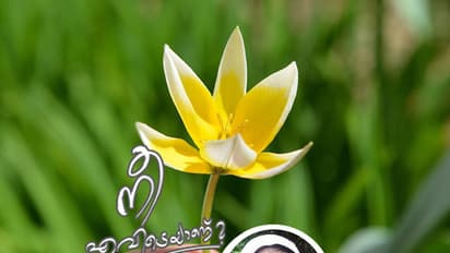 ഒരേ ബസ്സിലെ അപരിചിതരായ രണ്ടു യാത്രക്കാര്‍