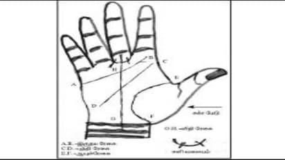 உங்கள் கையில் இது இருக்கிறதா ? இருந்தால் நீங்கள் கோடீஸ்வரர் தான்..!