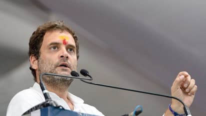 ನೆಹರು – ಗಾಂಧಿ ಮನೆತನದ 6ನೇ ಕಾಂಗ್ರೆಸ್ ಅಧ್ಯಕ್ಷ ರಾಹುಲ್