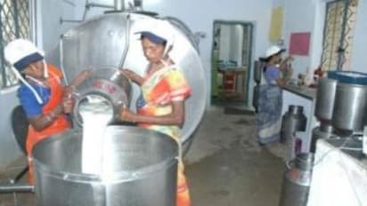 ரொம்ப சுலபமாக யோகர்ட் தயிர் தயாரித்து விற்பனை செய்து நல்ல லாபம் அடையலாம்...