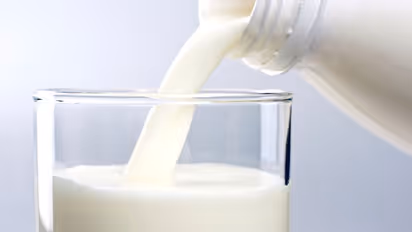 Tamil Nadu: Aavin to introduce curd bucket and Rasagulla as part of their new initiative