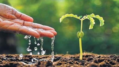 நெல்லுக்கு எப்போ எவ்வளவு நீர் பாய்ச்சணும் இதை வாசிச்சு தெரிஞ்சுக்குங்க…