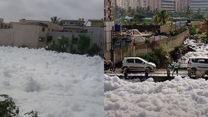 Bellandur froths again, thanks to Bengaluru rains [VIDEO]