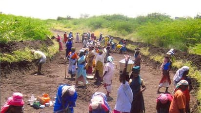 100 நாள் வேலை திட்டம்! தமிழகம் கேட்டது ரூ. 4,034 கோடி! மத்திய அரசு கொடுத்தது எவ்வளவு தெரியுமா?